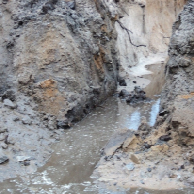 ���������� ������� �����������