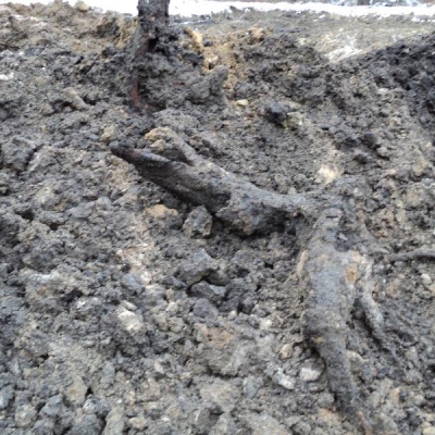 ���������� ������� �����������