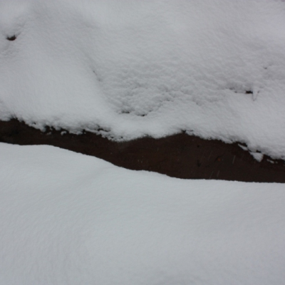 ���������� ������� �����������